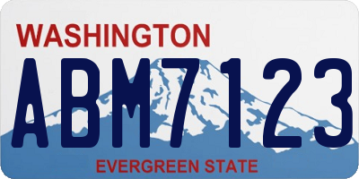 WA license plate ABM7123