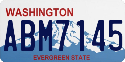 WA license plate ABM7145