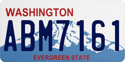 WA license plate ABM7161