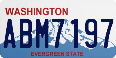 WA license plate ABM7197
