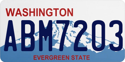 WA license plate ABM7203