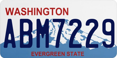 WA license plate ABM7229