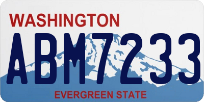 WA license plate ABM7233