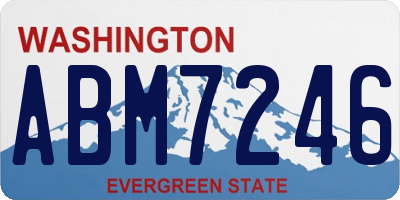 WA license plate ABM7246