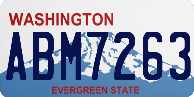 WA license plate ABM7263