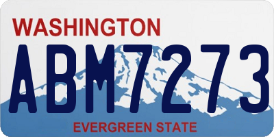 WA license plate ABM7273