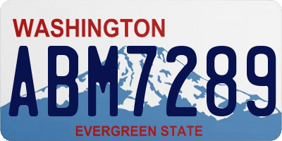 WA license plate ABM7289