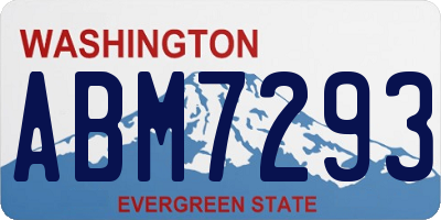 WA license plate ABM7293