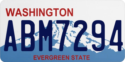 WA license plate ABM7294