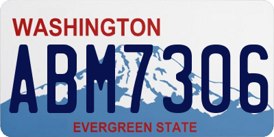 WA license plate ABM7306