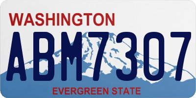 WA license plate ABM7307