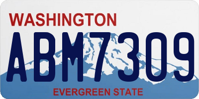 WA license plate ABM7309