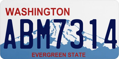 WA license plate ABM7314