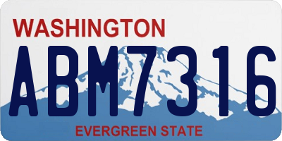 WA license plate ABM7316