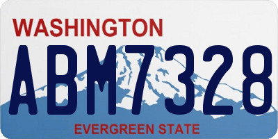 WA license plate ABM7328
