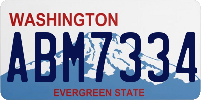 WA license plate ABM7334