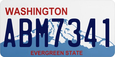 WA license plate ABM7341