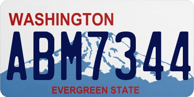 WA license plate ABM7344