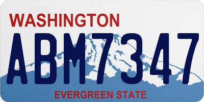 WA license plate ABM7347