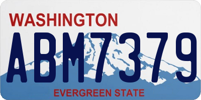 WA license plate ABM7379