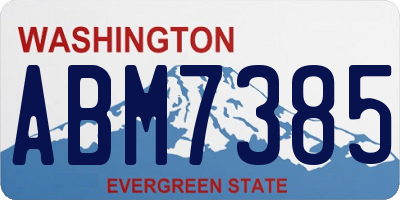 WA license plate ABM7385
