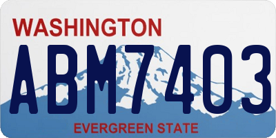 WA license plate ABM7403