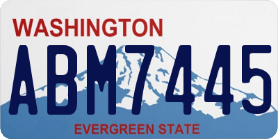 WA license plate ABM7445