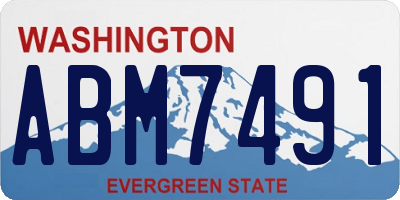 WA license plate ABM7491