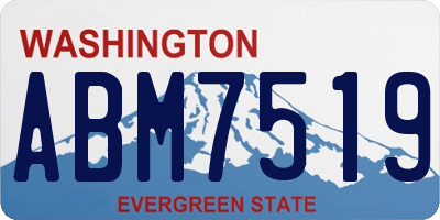 WA license plate ABM7519