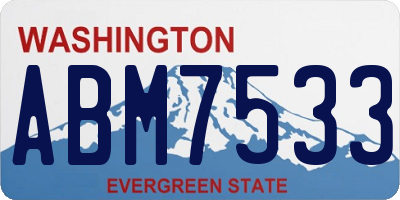 WA license plate ABM7533