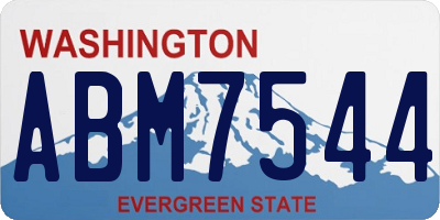 WA license plate ABM7544