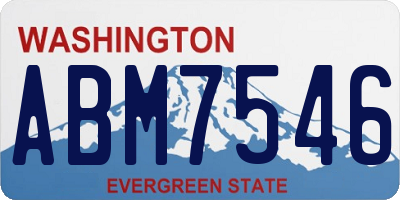 WA license plate ABM7546