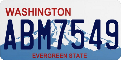 WA license plate ABM7549