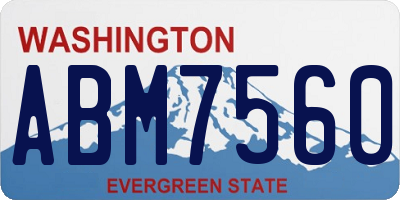 WA license plate ABM7560