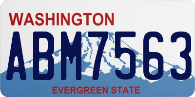 WA license plate ABM7563