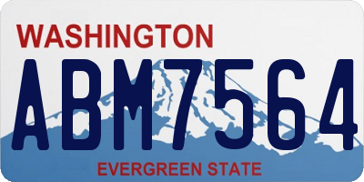 WA license plate ABM7564