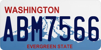 WA license plate ABM7566