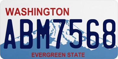 WA license plate ABM7568