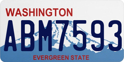 WA license plate ABM7593