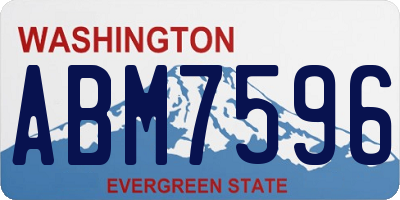 WA license plate ABM7596