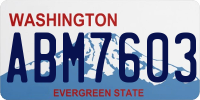 WA license plate ABM7603