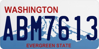 WA license plate ABM7613