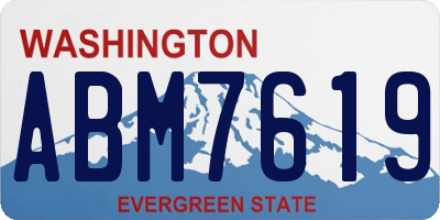 WA license plate ABM7619