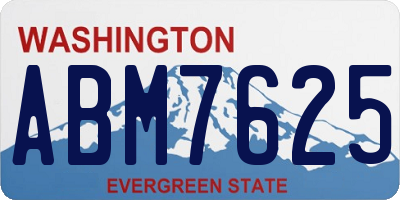 WA license plate ABM7625