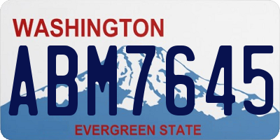 WA license plate ABM7645