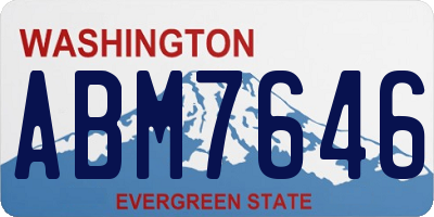 WA license plate ABM7646