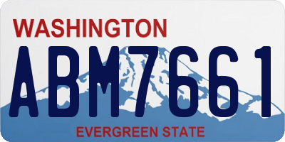 WA license plate ABM7661