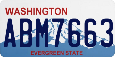 WA license plate ABM7663