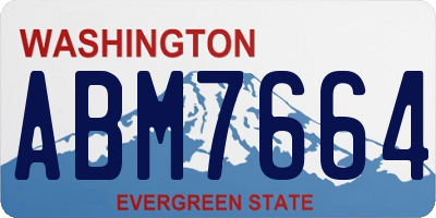 WA license plate ABM7664