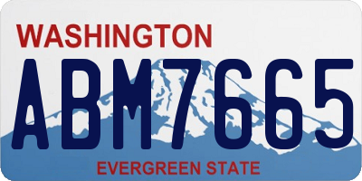 WA license plate ABM7665